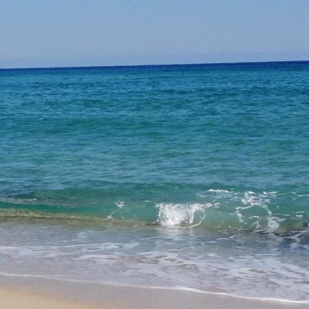 Home Beach Costa Rey Коста-Рей Екстер'єр фото