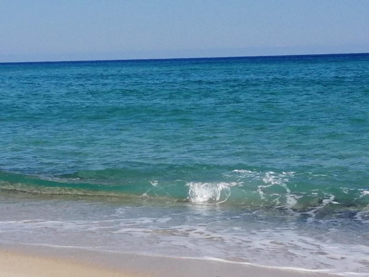 Home Beach Costa Rey Коста-Рей Екстер'єр фото